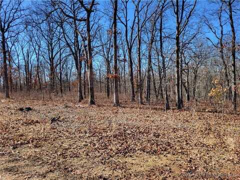 Anne Drive unit: 1781 & 1808, Edwards, MO 65326