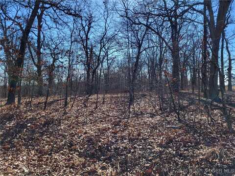 Anne Drive unit: 1781, Edwards, MO 65326