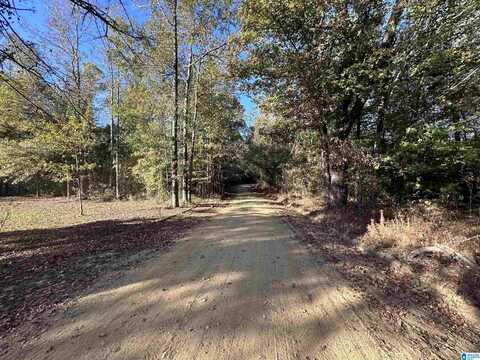 3 COUNTY ROAD 176, CLANTON, AL 35046