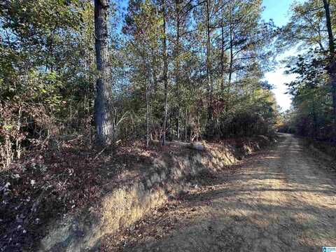 2 COUNTY ROAD 176, CLANTON, AL 35046