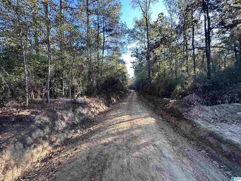 1 COUNTY ROAD 176, CLANTON, AL 35046