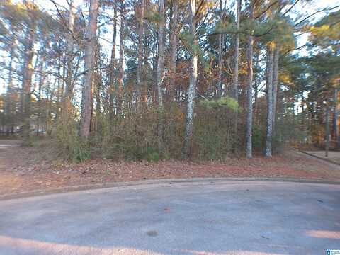 0 CARRIE COURT, JACKSONVILLE, AL 36265