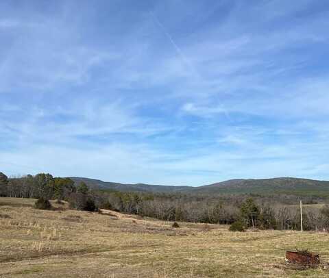 TBD. #2 Polk Road 85, Mena, AR 71953