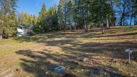 297 Forest Meadows Drive, Murphys, CA 95247