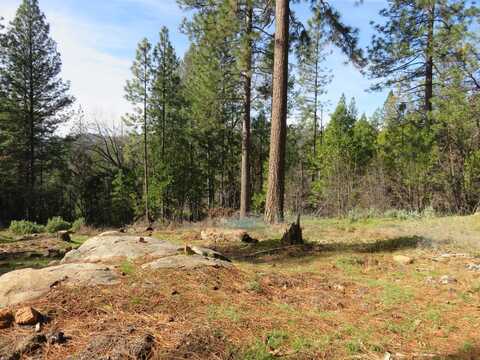 1311 Quartz Mountain Road, West Point, CA 95255