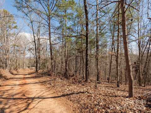 00 George Parker Drive, Rutherfordton, NC 28139