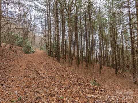 00 Bald Creek Road, Clyde, NC 28721