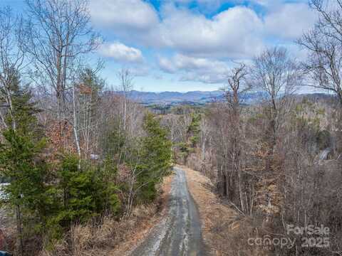 99999 -2 Barnardsville Highway, Weaverville, NC 28787