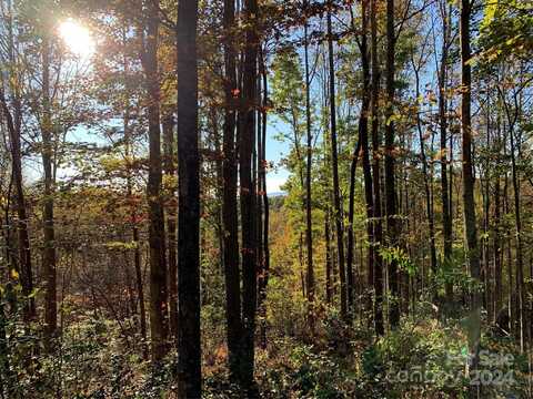 1483 Round Mountain Parkway unit: 59, Lenoir, NC 28645
