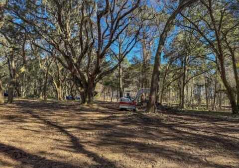 254 Deer Track Drive, Edisto Island, SC 29438