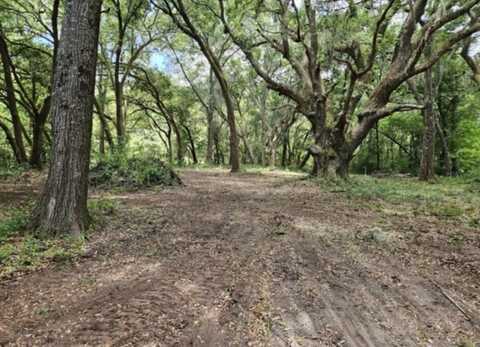 254 Deer Track Drive, Edisto Island, SC 29438