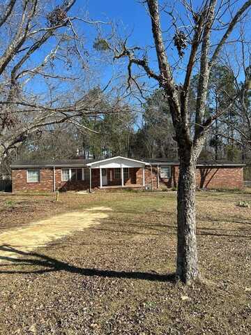 424 Milton Hallman Rd NE, Baxley, GA 31513