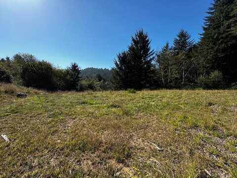 00 North Ridge, Smith River, CA 95567