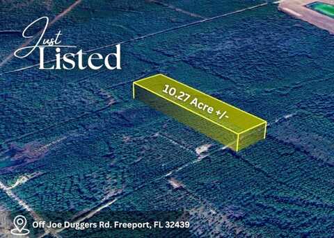 0 Joe Dugger Road, Freeport, FL 32439