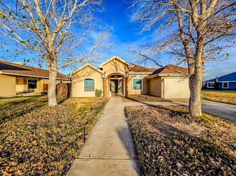 2149 Fox Borough Dr, Eagle Pass, TX 78852