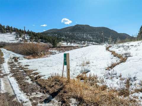 60 Cherokee Path, Lake George, CO 80827