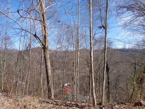 148 Plainview Ridge, Sylva, NC 28779