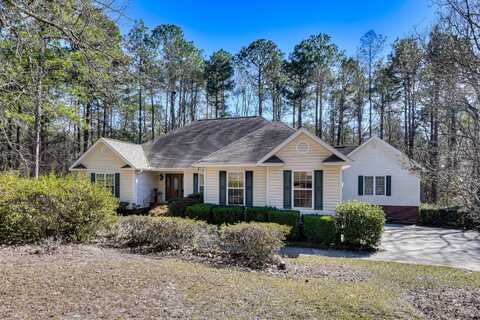 331 OLD THICKET Place, Aiken, SC 29803