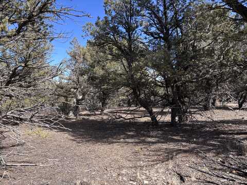 Tract 117 El Vado Lake Subd. unit: 1, Tierra Amarilla, NM 87575
