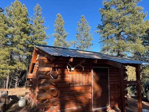 Forest Road 157, Ramah, NM 87321