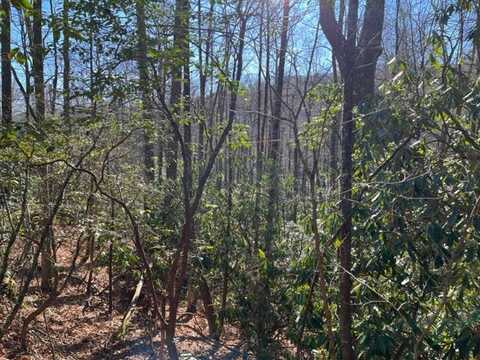 Lot 89 Christy Trail, Sapphire, NC 28774