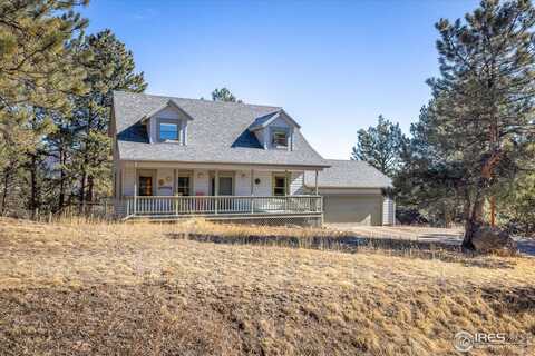 2163 Roland Dr, Bailey, CO 80421