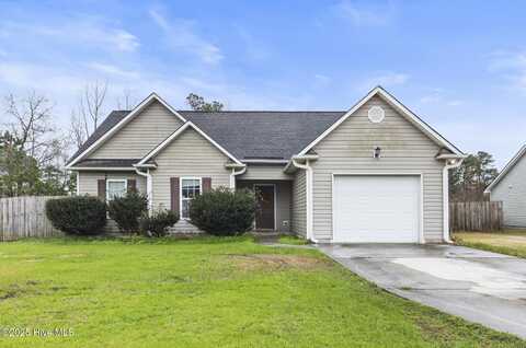 304 Big Tree Lane, Chinquapin, NC 28521