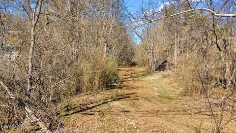 1858 Old Chilhowee Road Rd, Seymour, TN 37865