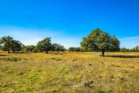 W Tivydale Rd, Harper, TX 78631