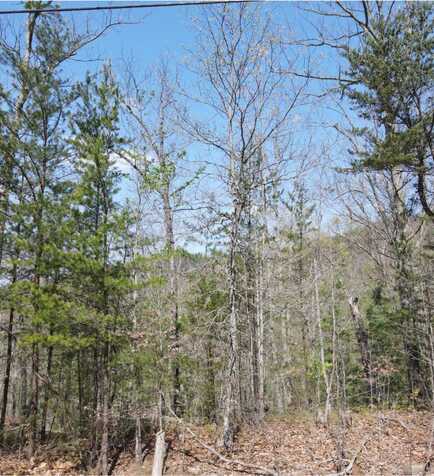 40 Hickory Street, Sevierville, TN 37876