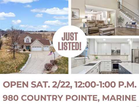 980 Country Pointe Lane, Marine, IL 62061