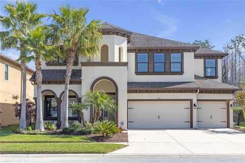 8414 EAGLE BROOK DRIVE, LAND O LAKES, FL 34638