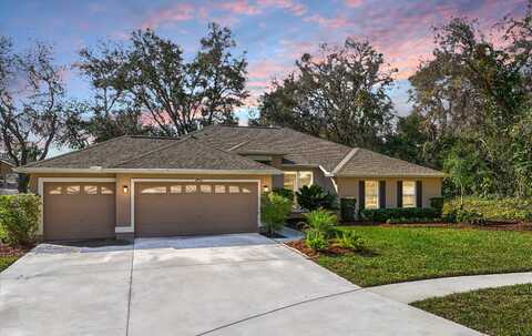 4701 MARSH HAWK COURT, VALRICO, FL 33596