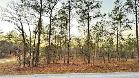 00 SE 130TH, DUNNELLON, FL 34431
