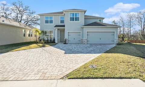 22990 SCAGLIONE DRIVE, LUTZ, FL 33549