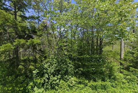 0 Flye Point Road, Brooklin, ME 04616