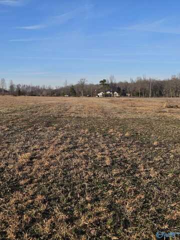 Lot 12 Treva Lane, Hazel Green, AL 35750