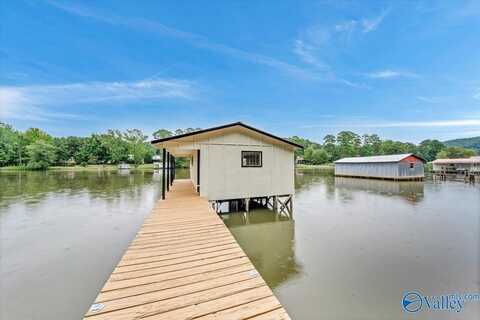 3604 Lindsey Lane, Guntersville, AL 35976