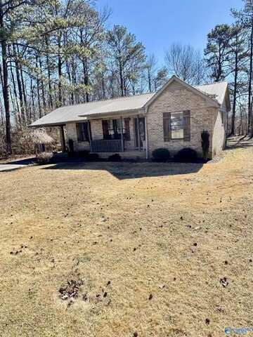 772 Robinhood Way, Fyffe, AL 35971