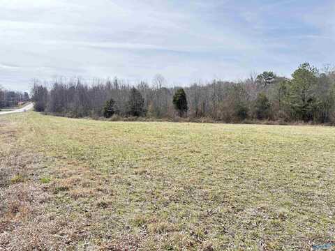 3.71 Ac Hwy 75, Ider, AL 35981