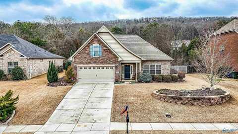 4862 Cove Valley Drive, Owens Cross Roads, AL 35763