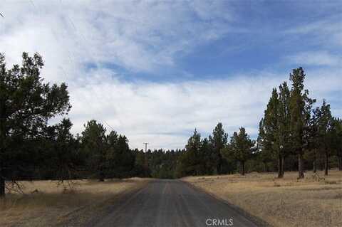 0 Grizzley Drive, Alturas, CA 96101