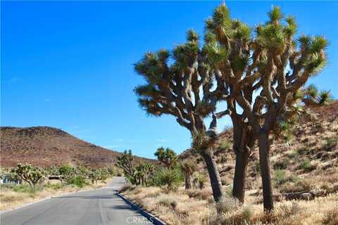 56448 Skyline Ranch Road, Yucca Valley, CA 92284