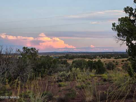 92 County Road N5417, Concho, AZ 85924