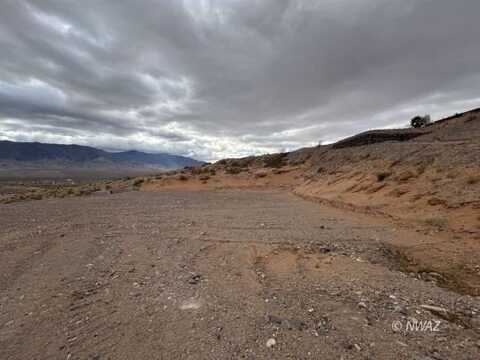 Cactus, Littlefield, AZ 86432