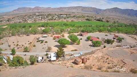 Cactus, Littlefield, AZ 86432