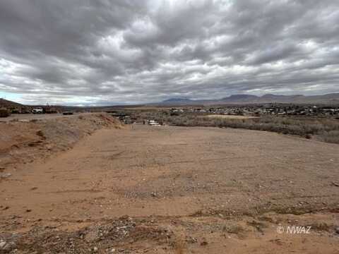 Cactus, Littlefield, AZ 86432