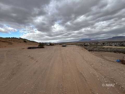 Cactus, Littlefield, AZ 86432