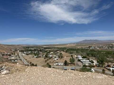 Cactus, Littlefield, AZ 86432