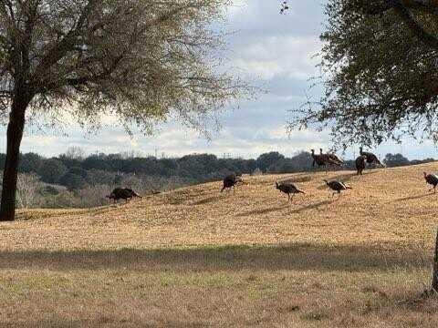8511 Melrose Court, Cleburne, TX 76033